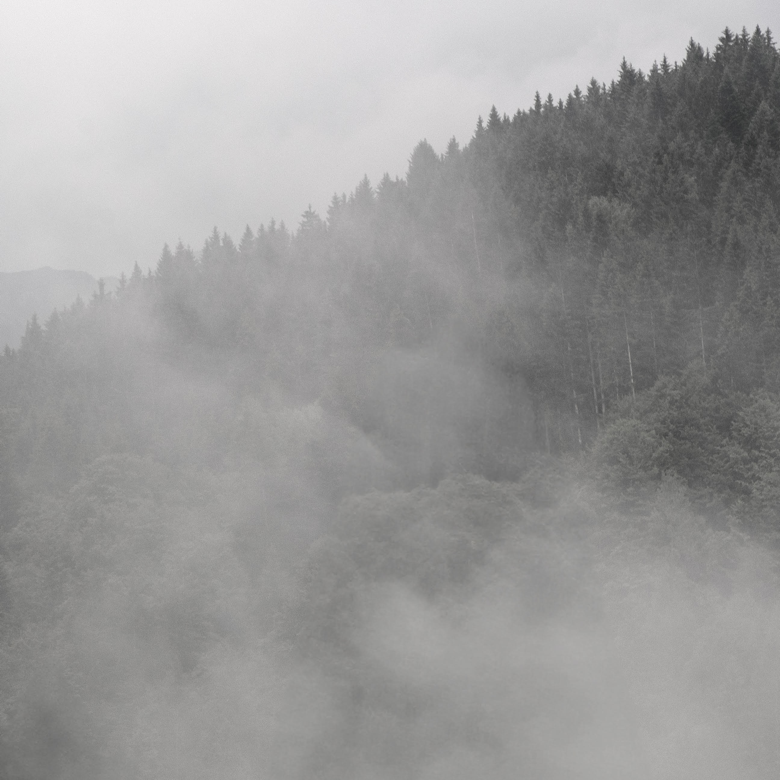 MUTUAL GROWTH 室内设计丨意大利丨@studio_theorist-14