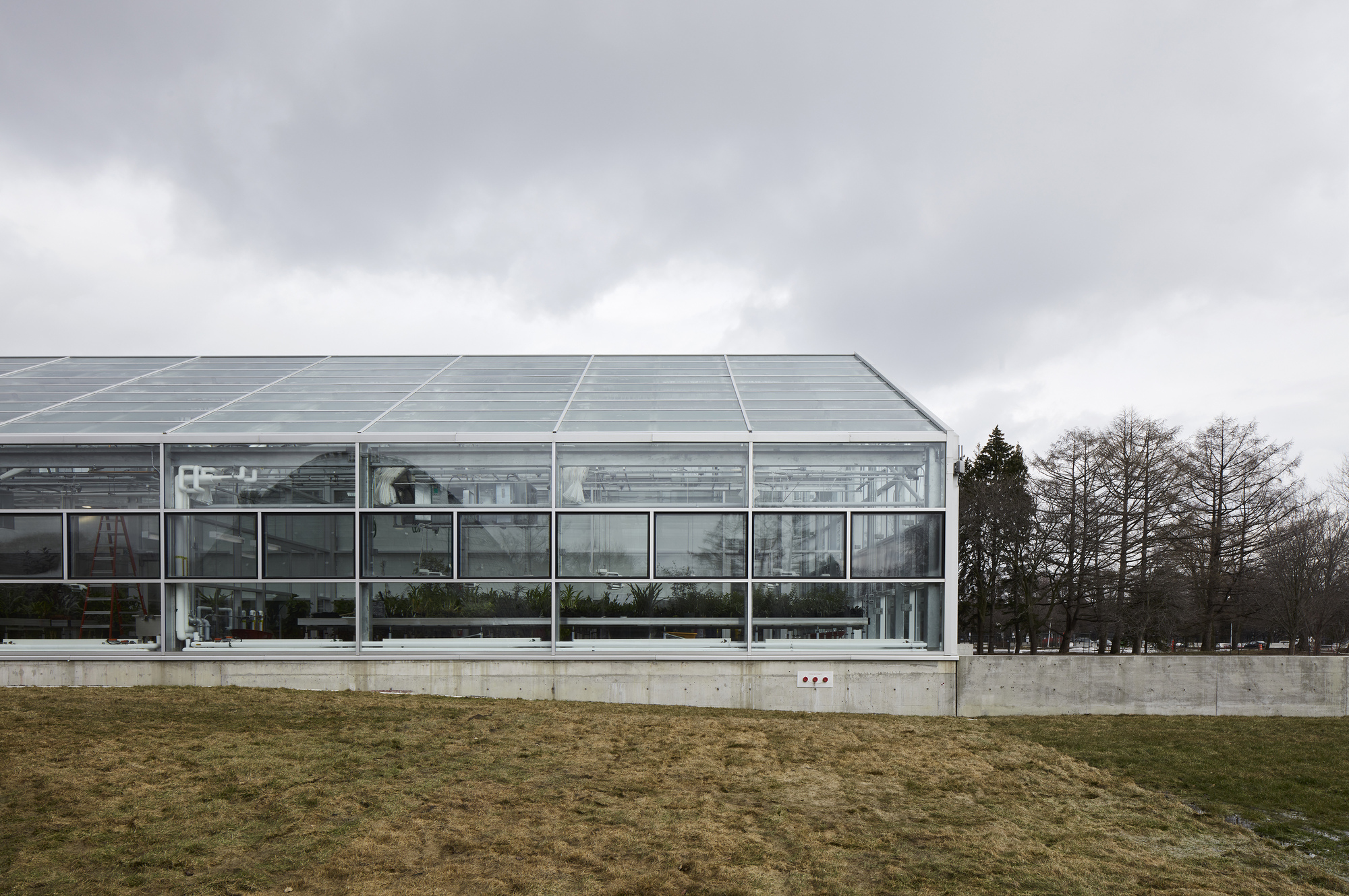 蒙特利尔昆虫馆丨加拿大蒙特利尔-3