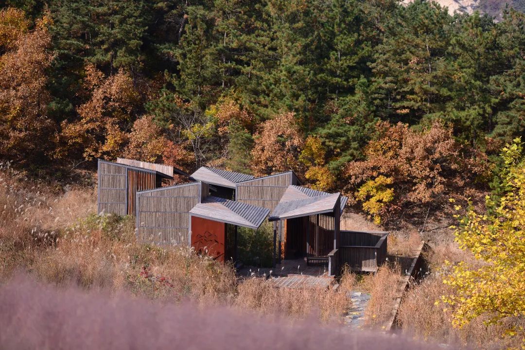 昆嵛山国家级自然保护区景观设计丨大小景观-24