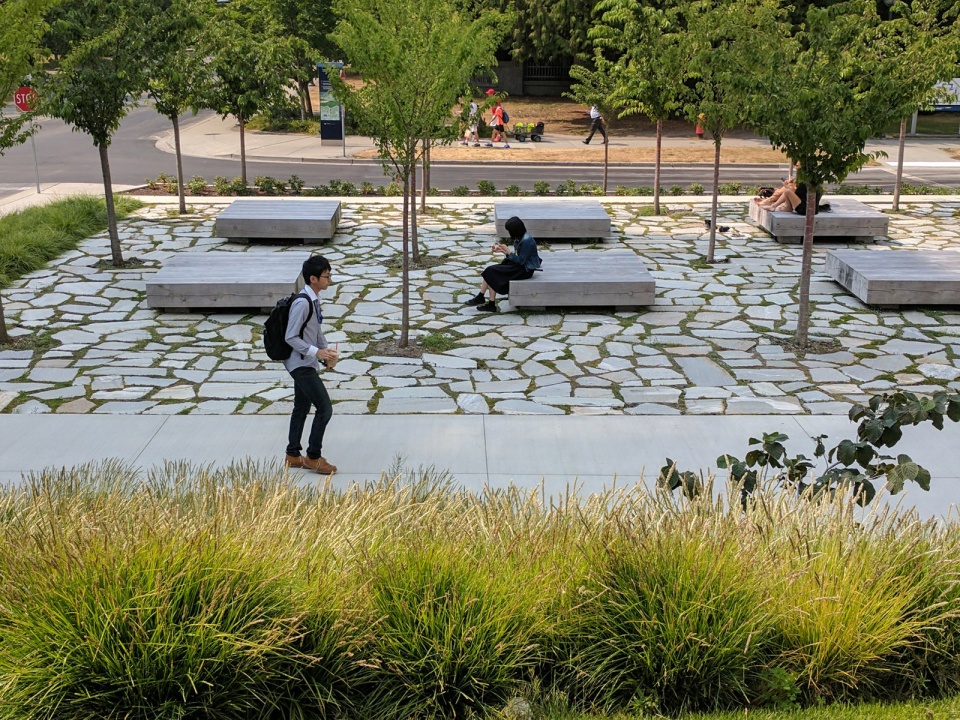 温哥华黄松木公共空间-16