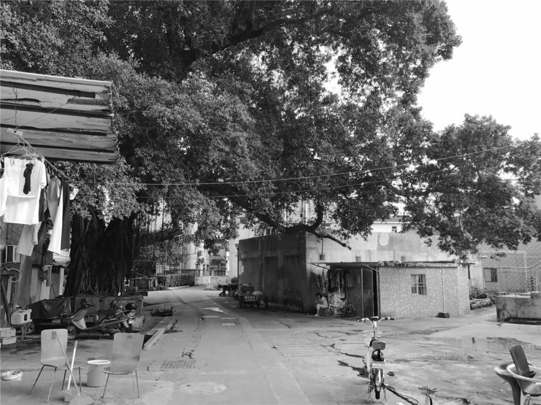 深圳大梅沙村改造 | 城村共生下的空间再生产-37