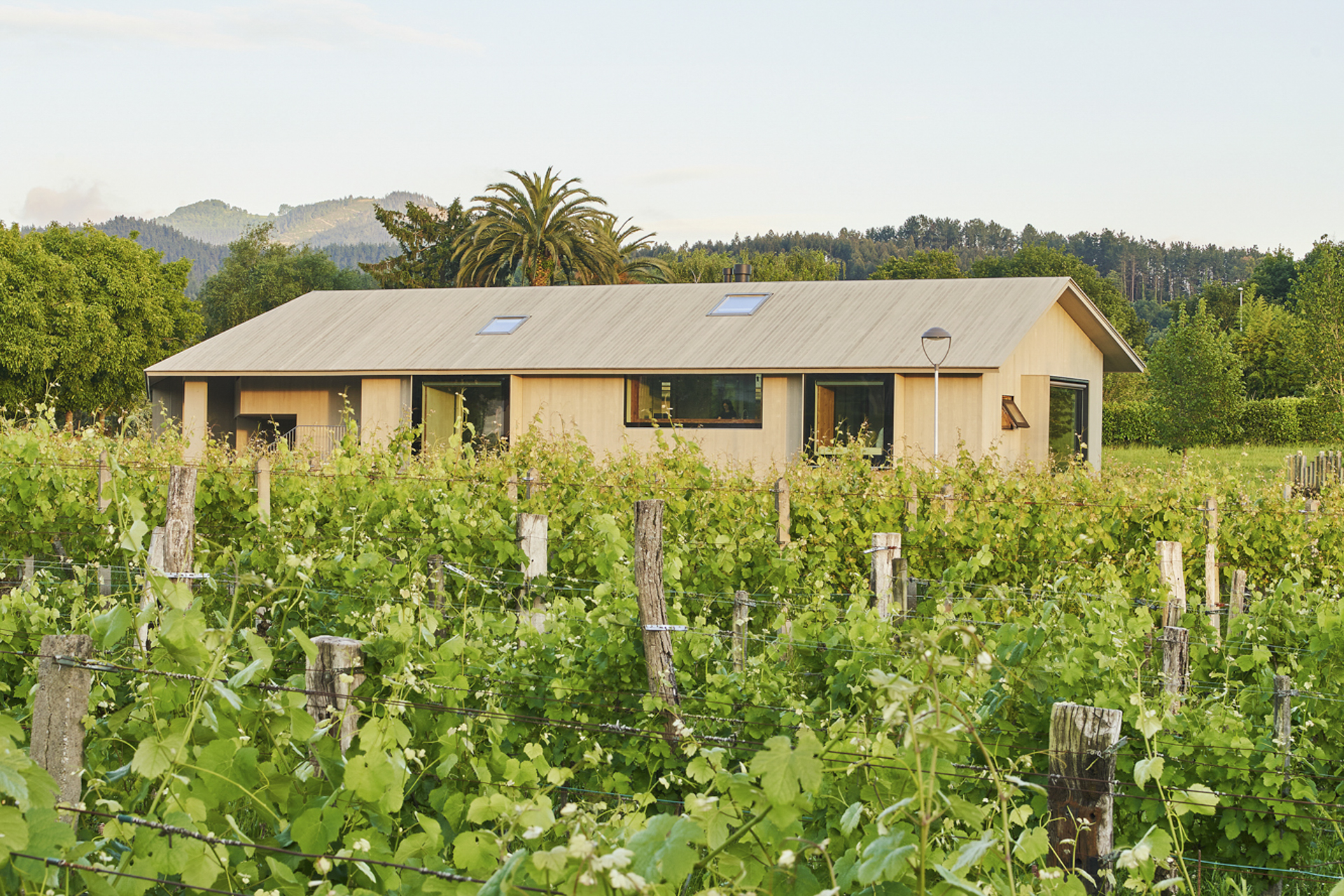 Wohnhaus im Baskenland（巴斯克地区住宅）丨西班牙丨Emiliano López和Mónica Rivera-7