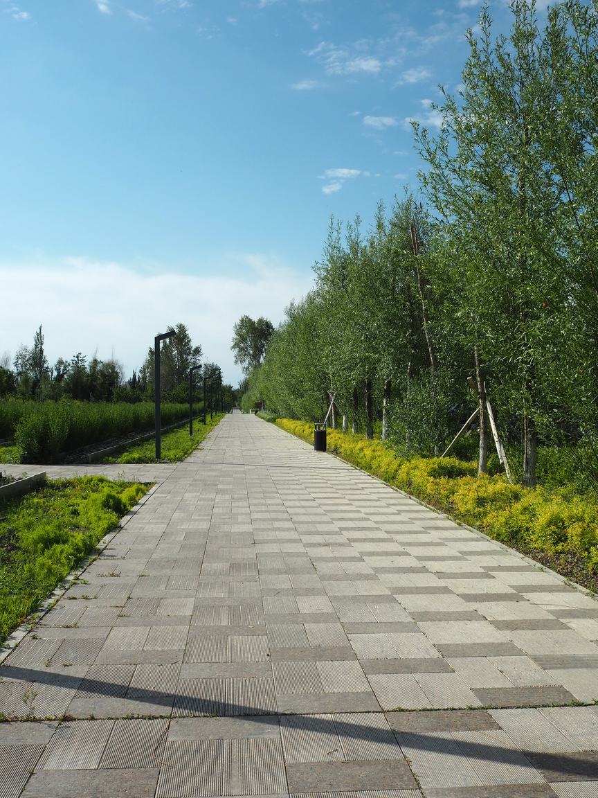 新疆博乐人民公园改造-99