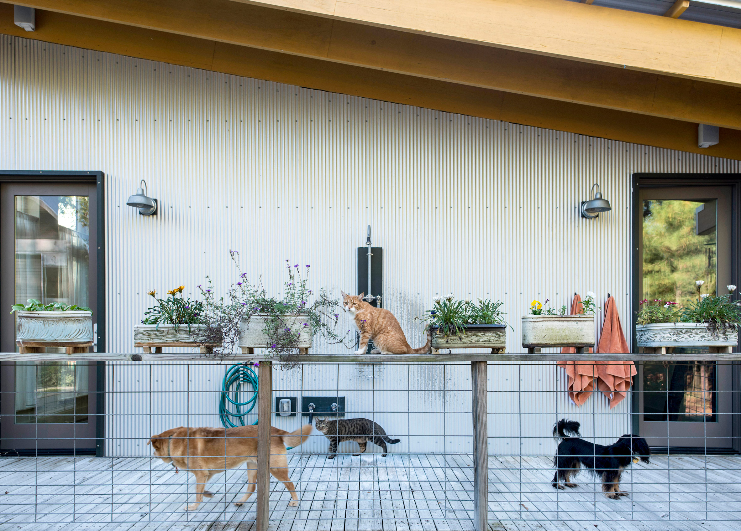 North Carolina farmhouse combines rustic and modern features-14