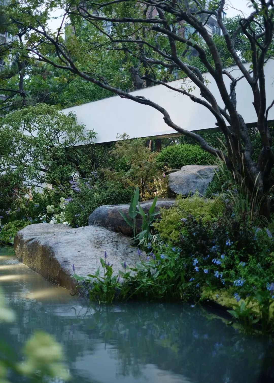 石头记：落雨声皆看化 | 龙湖葛洲坝 · 景粼天著-46