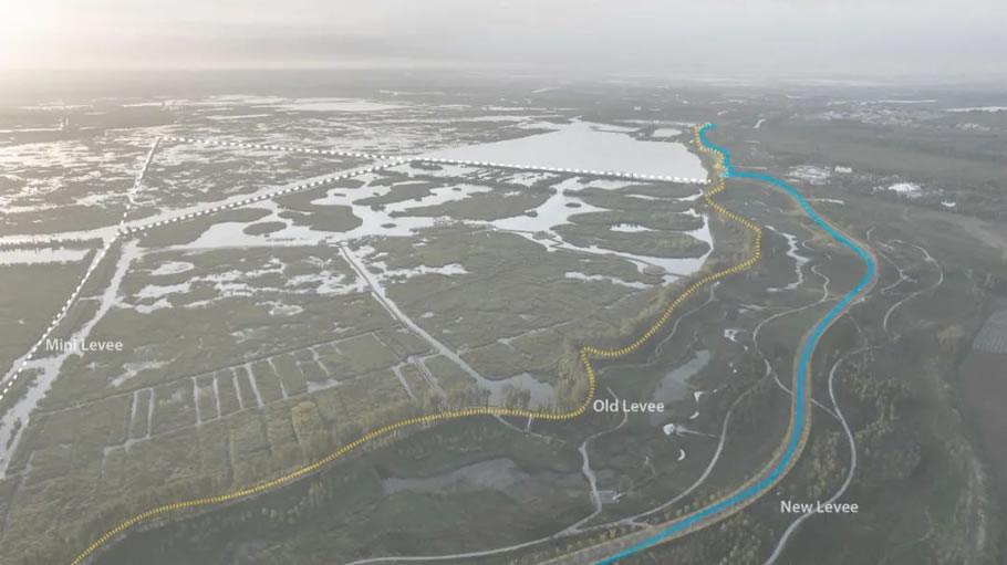 雄安白洋淀水岸公园景观设计丨TLS景观设计事务所-50