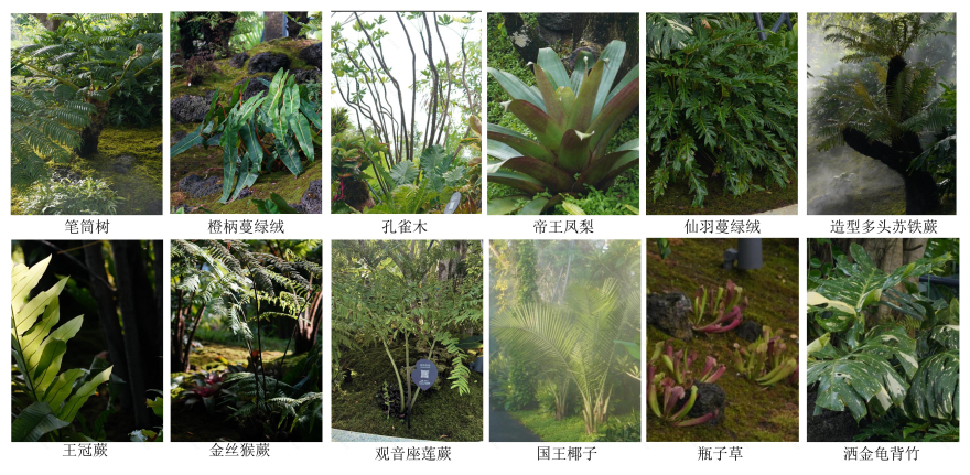 三亚海棠河生态公园(二期)·热带奇趣园丨中国三亚丨LOLA Landscape Architects B.V.-61