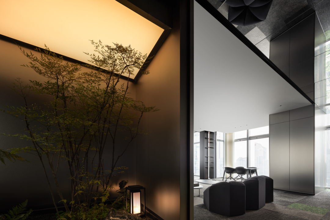 广州简美设计 | 森林苏醒-15