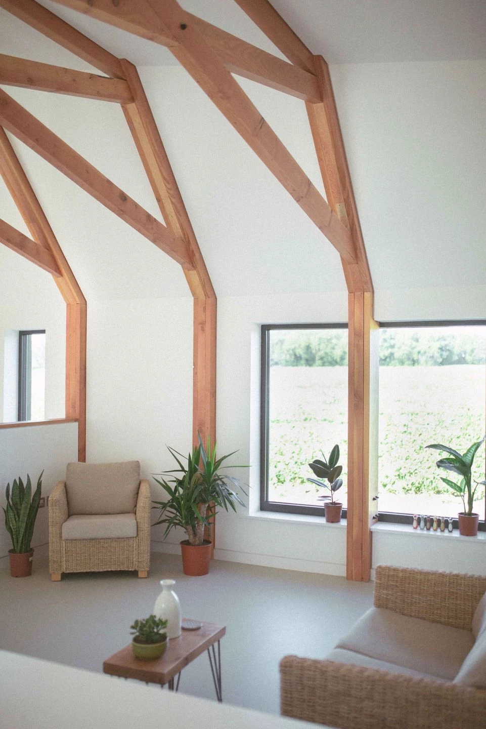 英国乡村环保住宅“黑 barn”-38