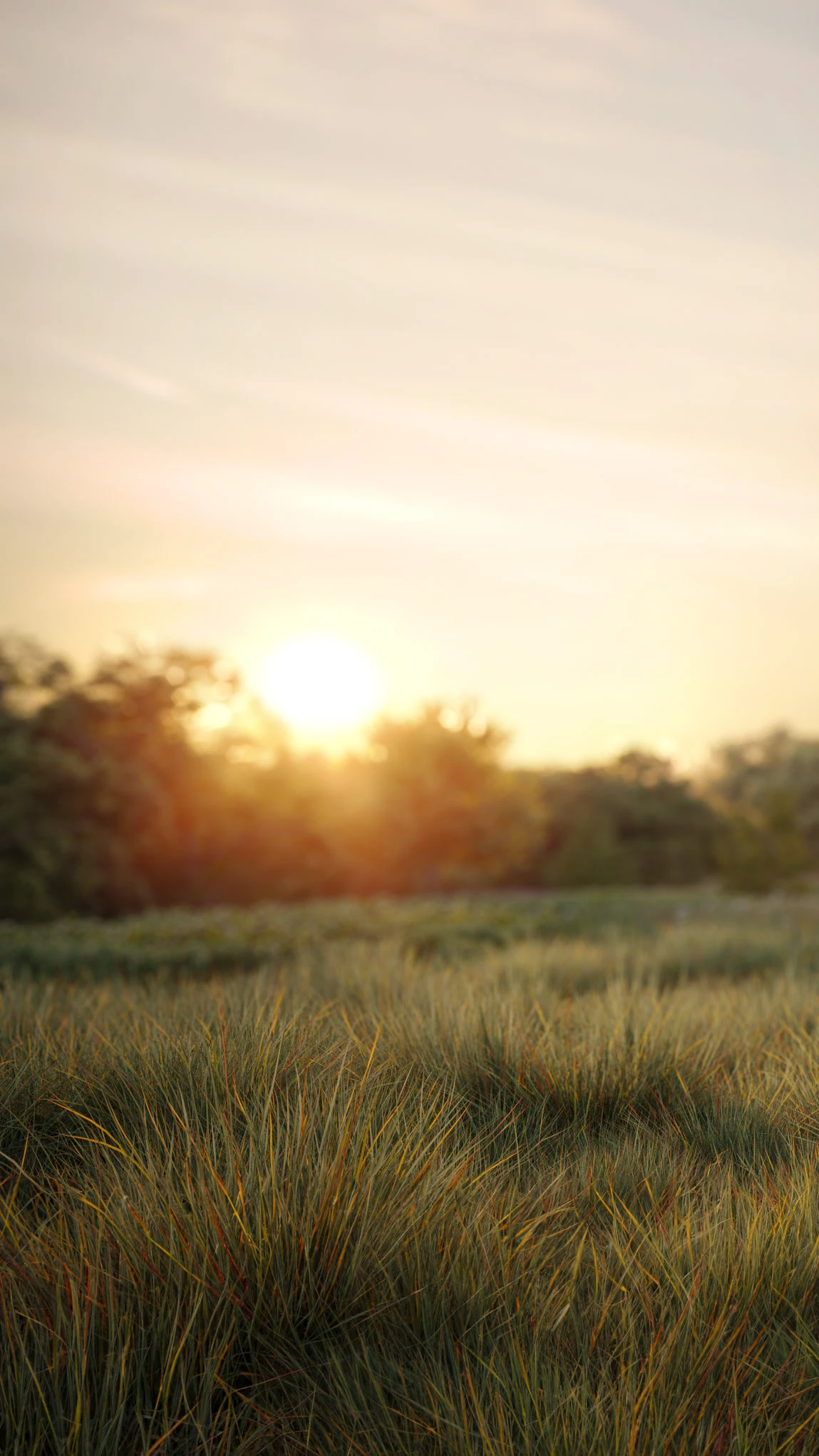 干草湾住宅丨美国纽约丨Michał Morzy-14