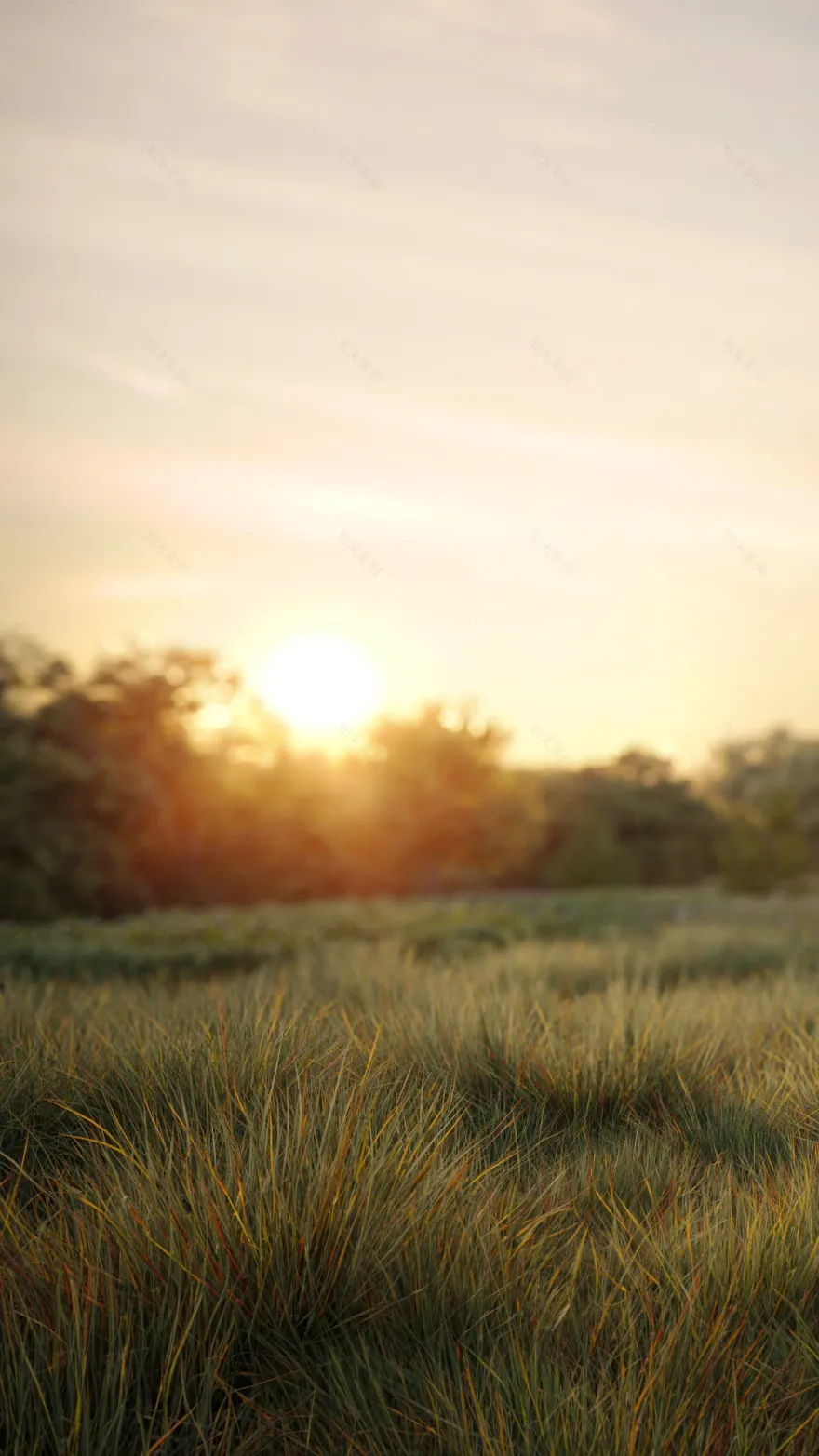 干草湾住宅丨美国纽约丨Michał Morzy-14