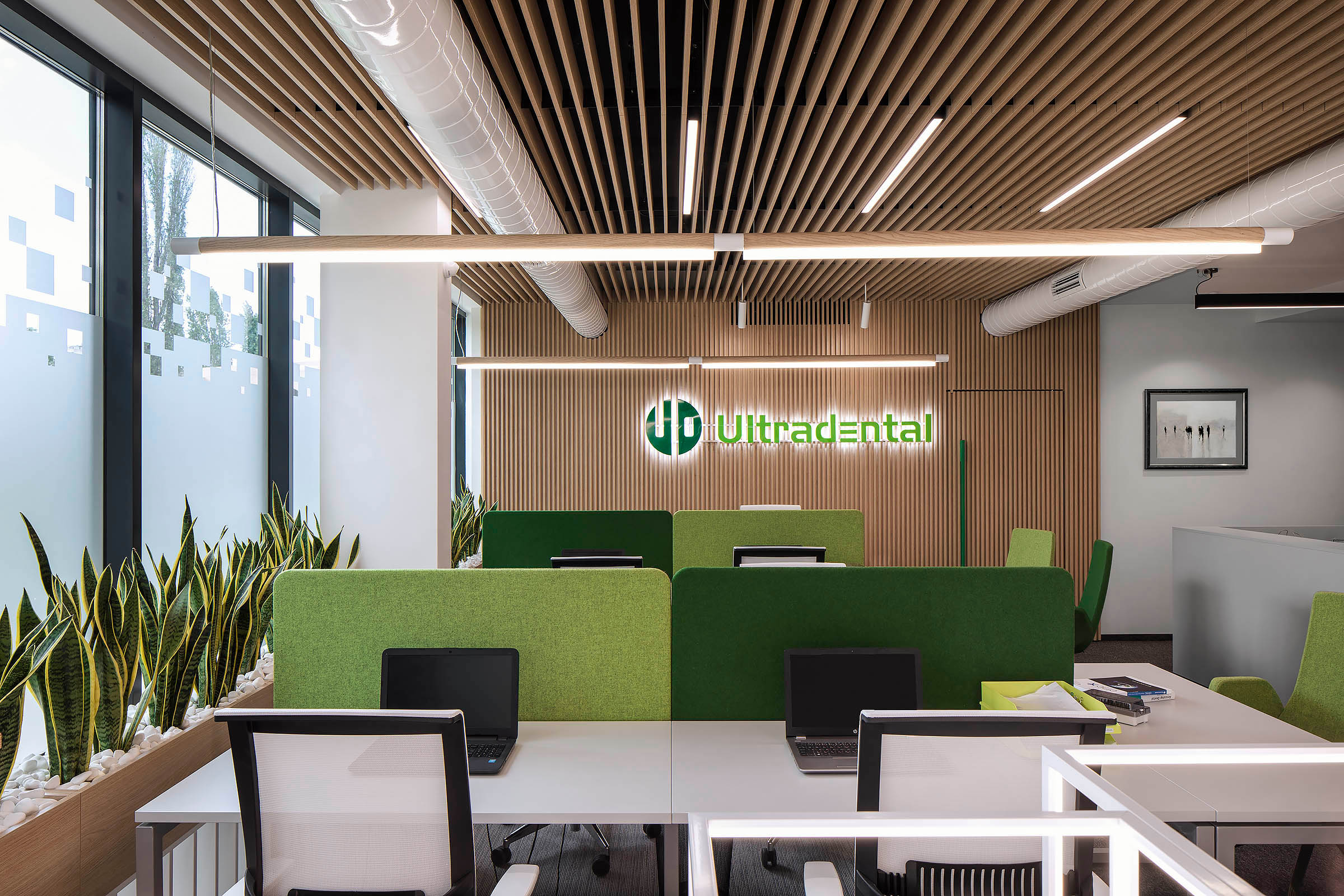 超牙办公室丨保加利亚丨Fimera Design-10