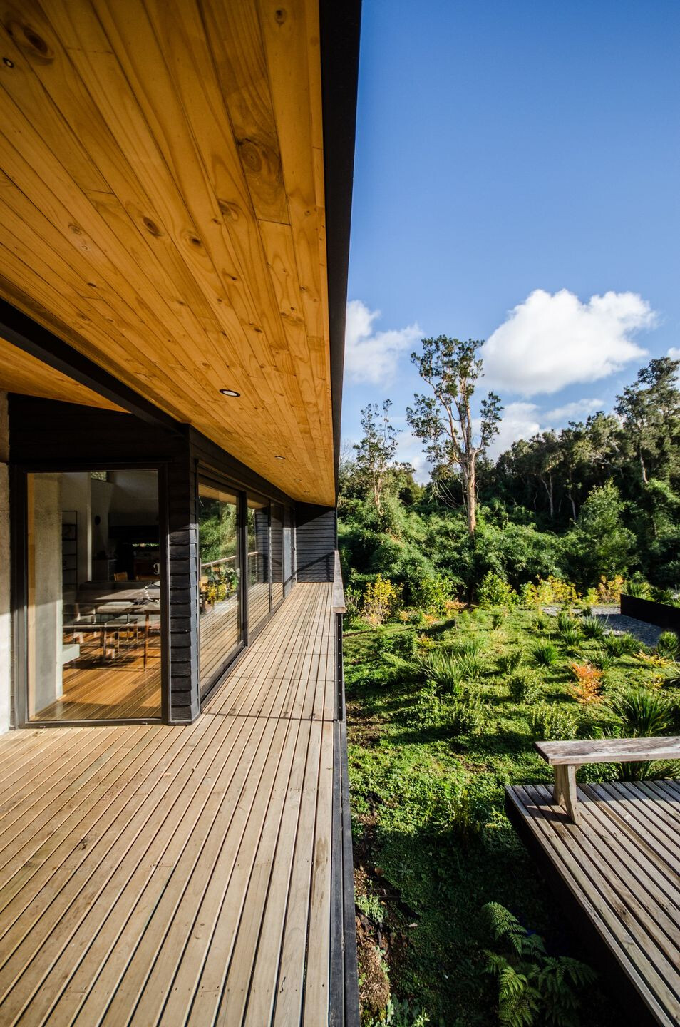 智利森林中的悬浮之家-23