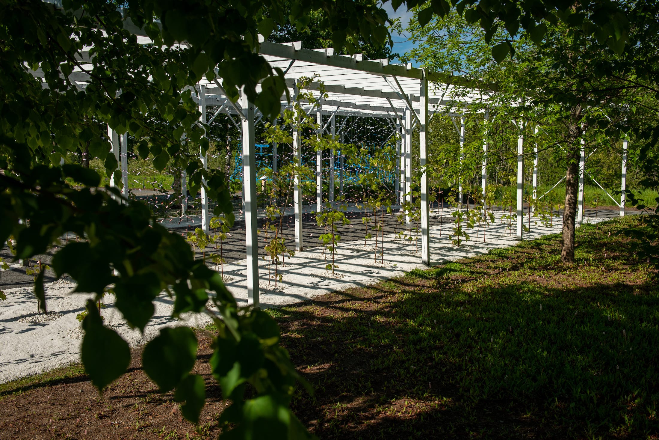 2019 加拿大国际花园节 | 彩色“岩石”结构装置引人入胜-43