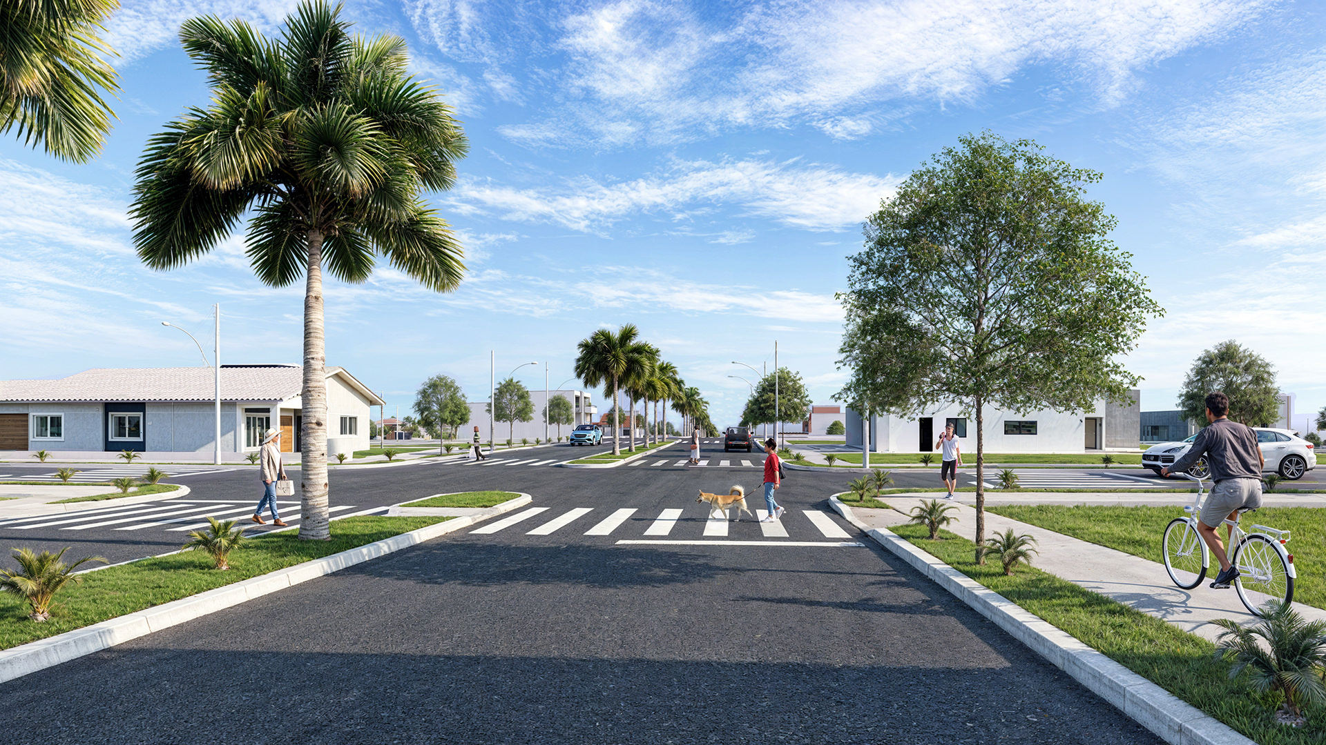 Novo Horizonte II-10