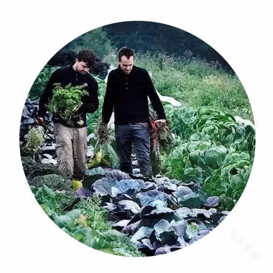 绿色生活趋势 | 可食地景打造城市美观实用景观-12