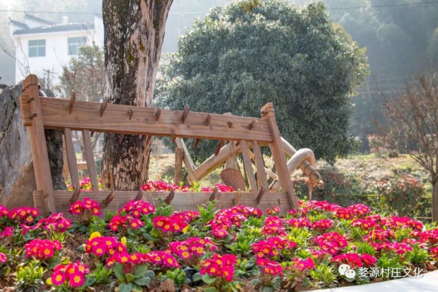 婺源碧山村亲子游新去处,原生态乡村乐园的完美逆袭-32