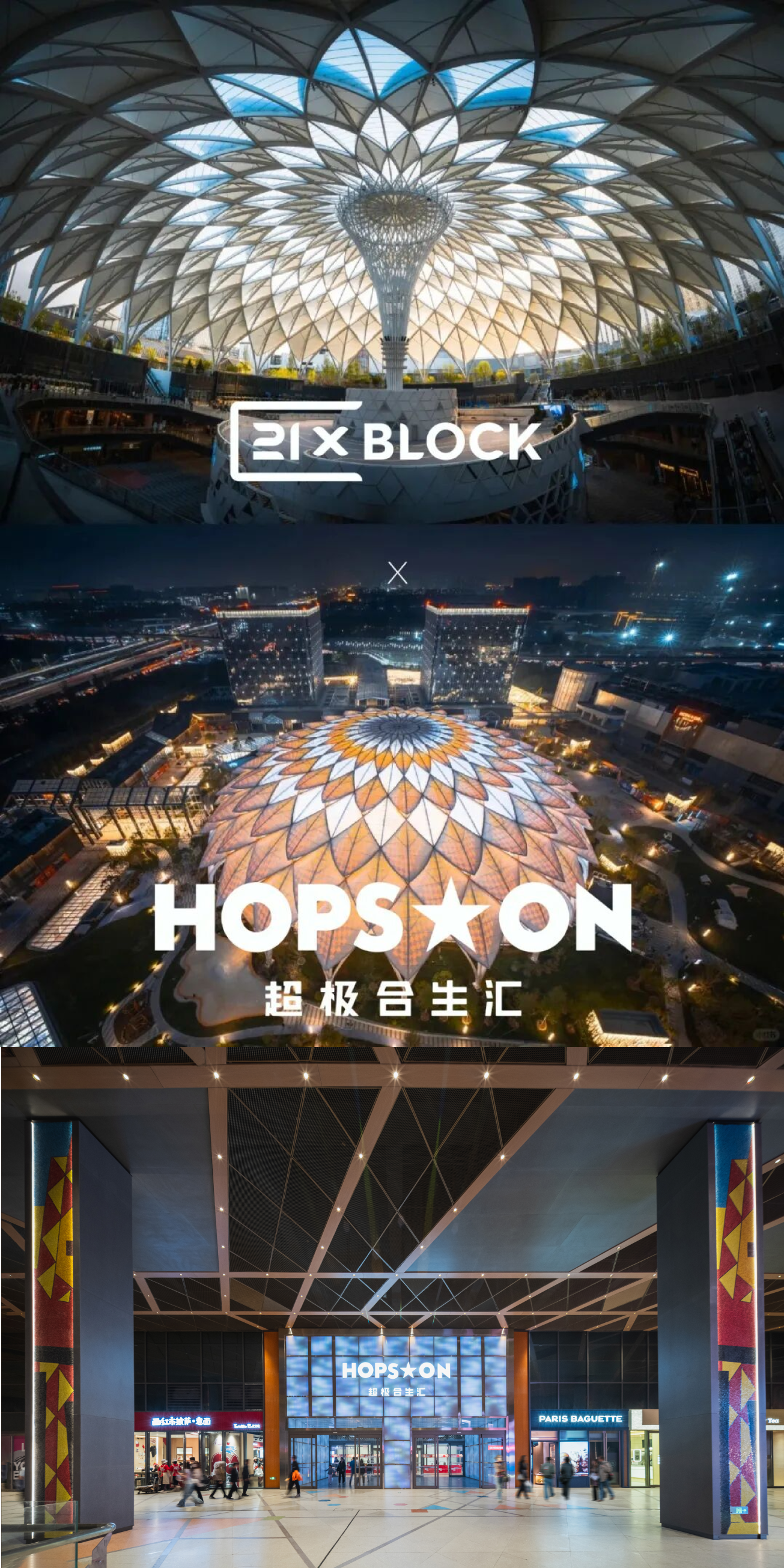 北京超极合生 迷失在花鸟鱼虫市场里的年轻人。-3