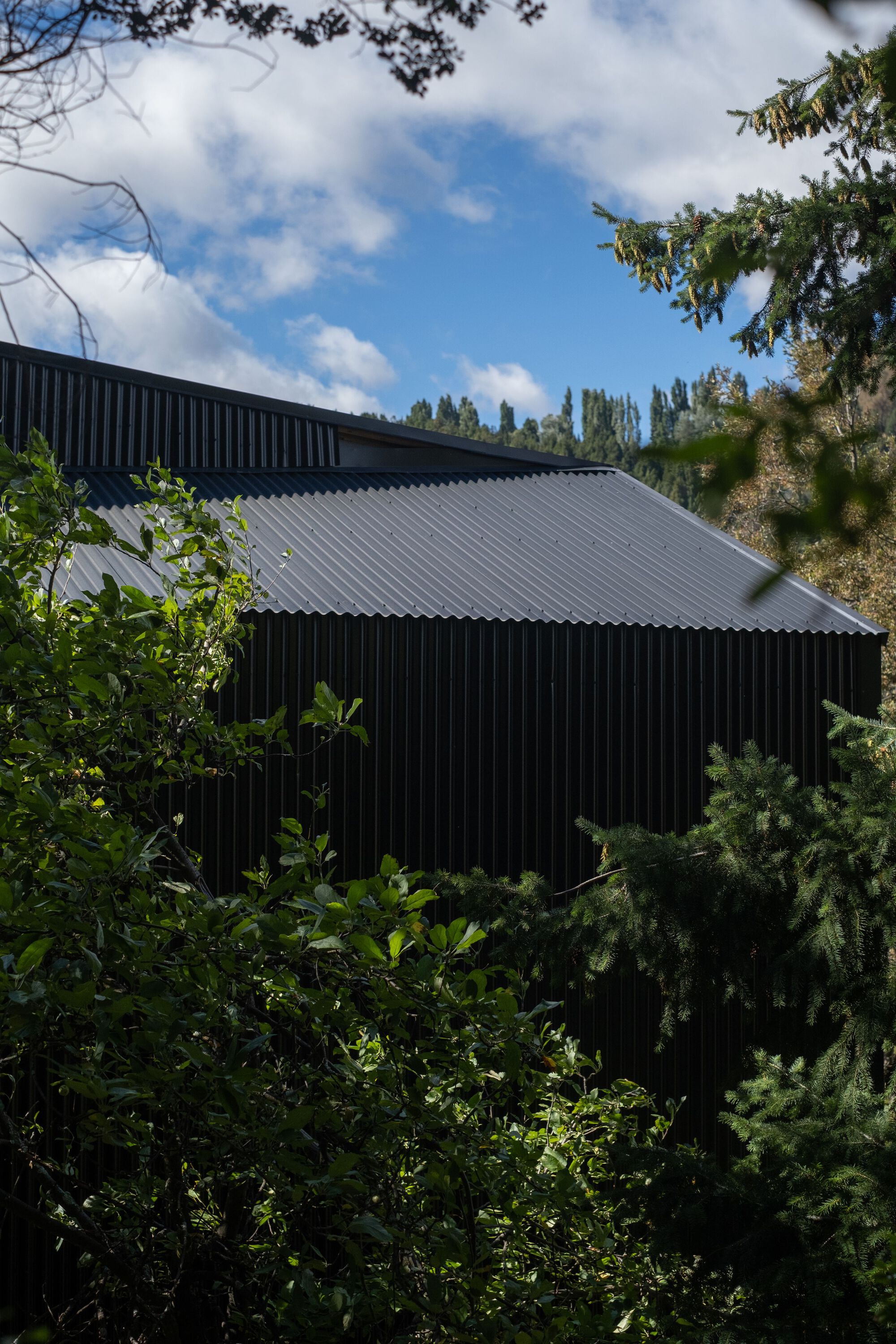 索萨之家丨阿根廷丨40Sur Arquitectura-12