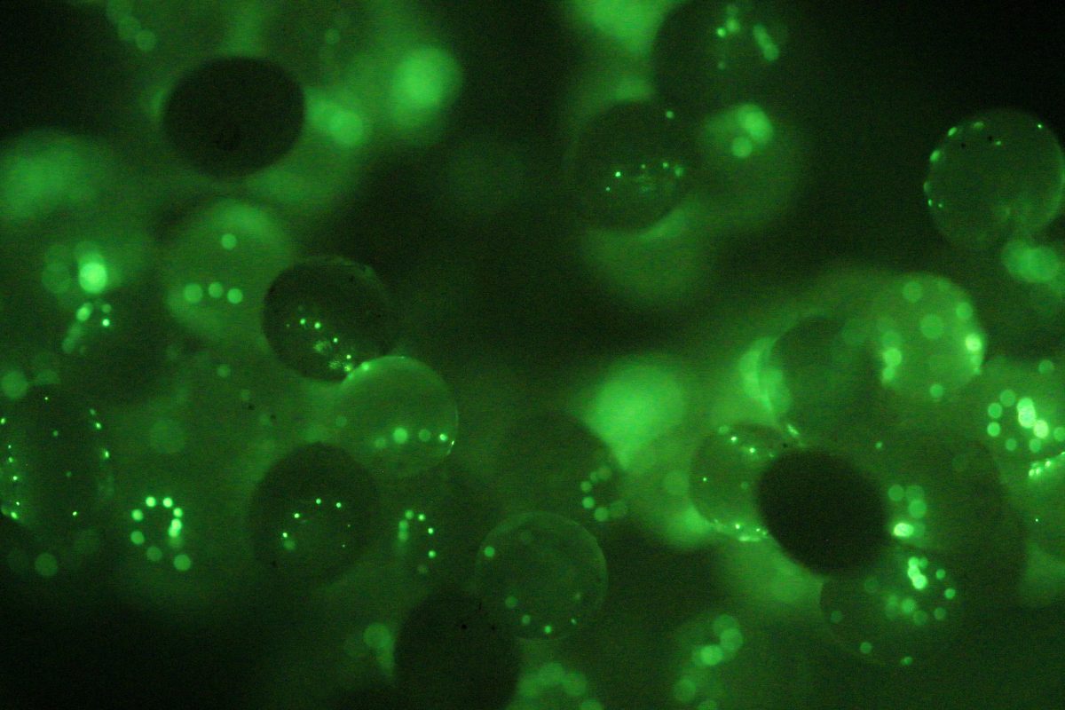 臺灣最美的「光」！2022 臺灣光環境獎得主揭曉！ - WEHOUSE-16