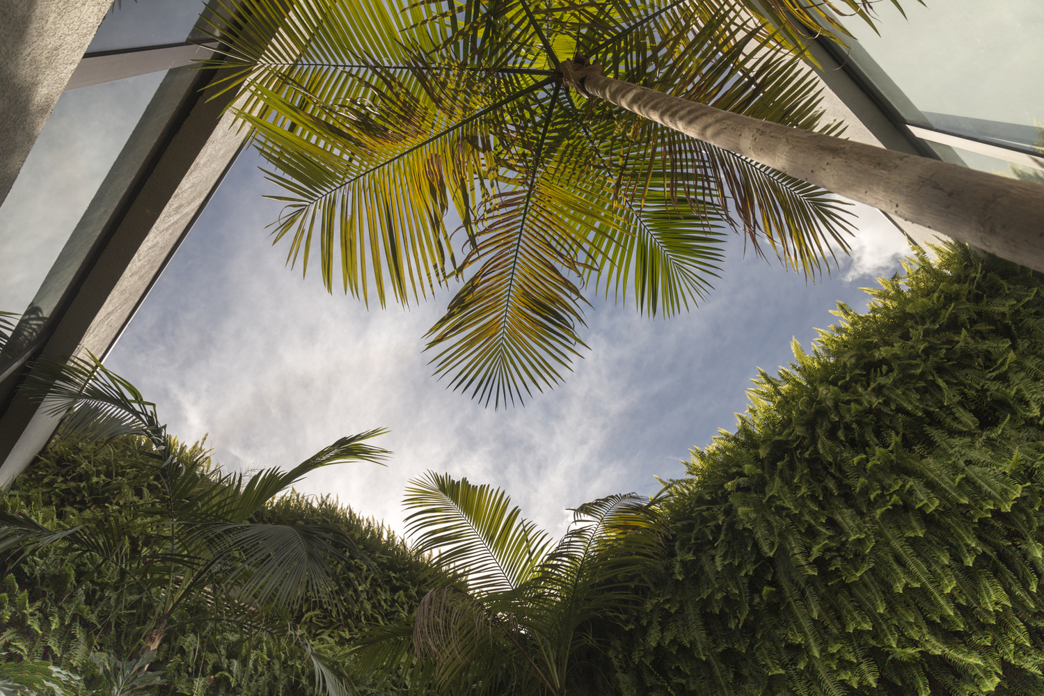 Jardim Paulistano Penthouse  Gabriella Ornaghi Arquitetura da Paisagem-42