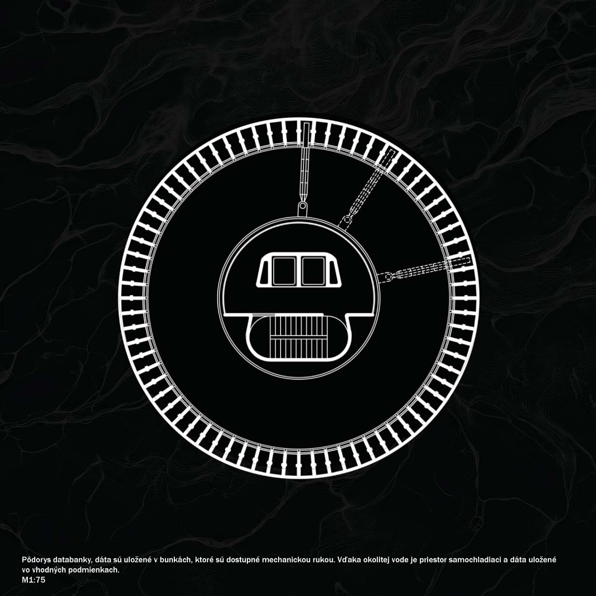 水上数据库项目-6