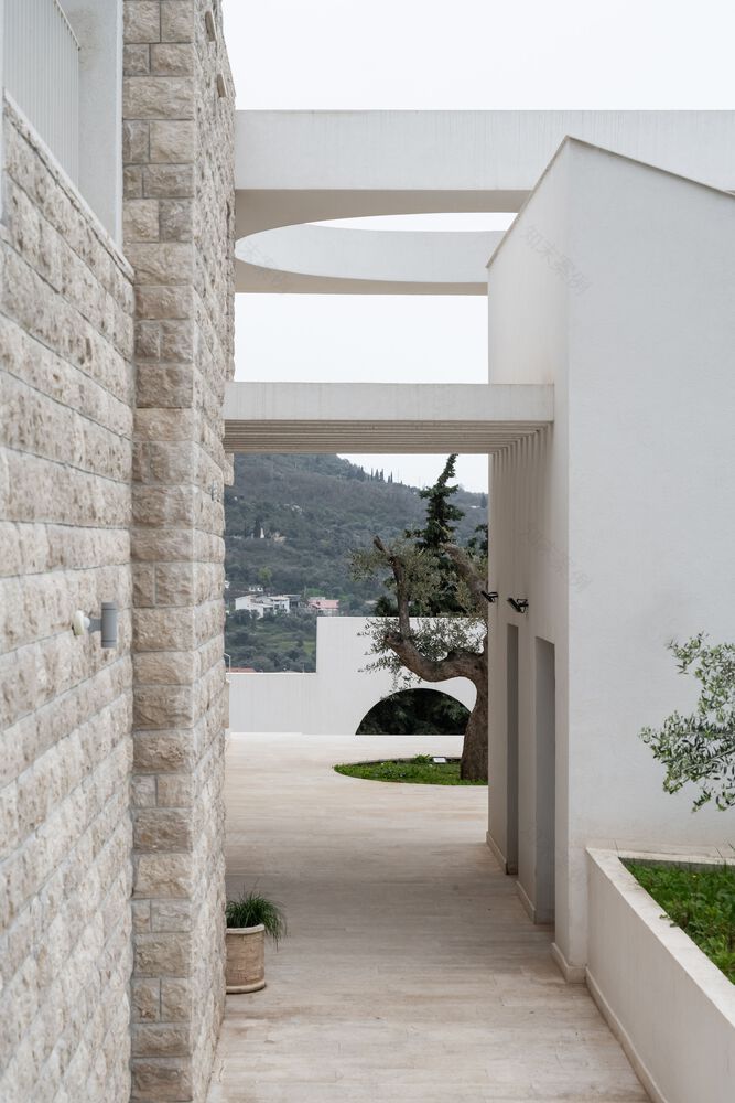 House of Olives by ARHINGinženjering-21