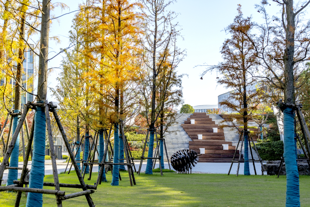 阿里巴巴南湖未来科学园丨中国杭州丨阿普贝思UP+S-41