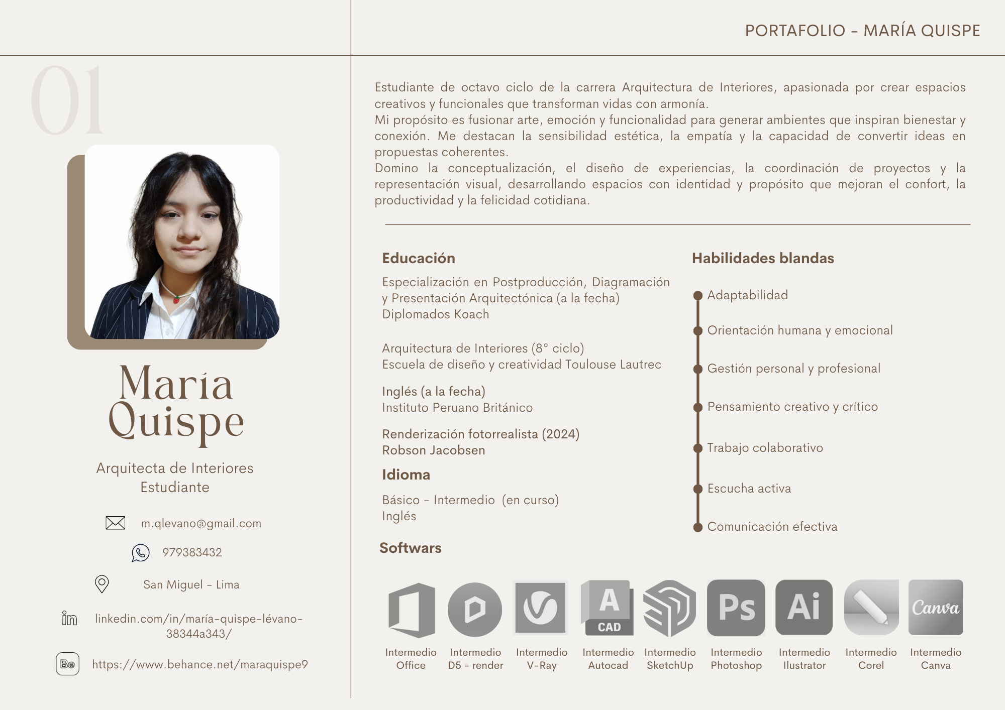 Portafolio profesional 2025-1