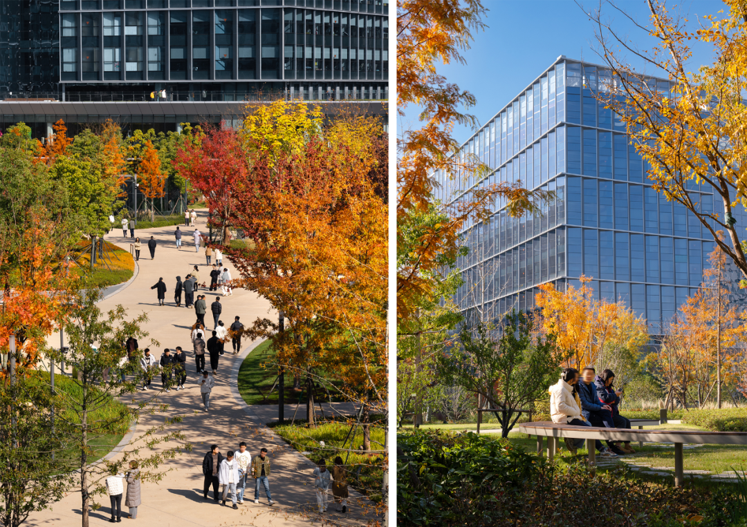 阿里巴巴西溪全球总部园区（C区）丨中国杭州丨ASPECT Studios-36