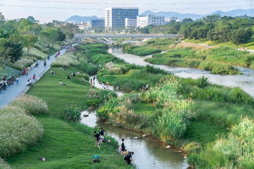 茅洲河碧道·光明段生态修复试点-96