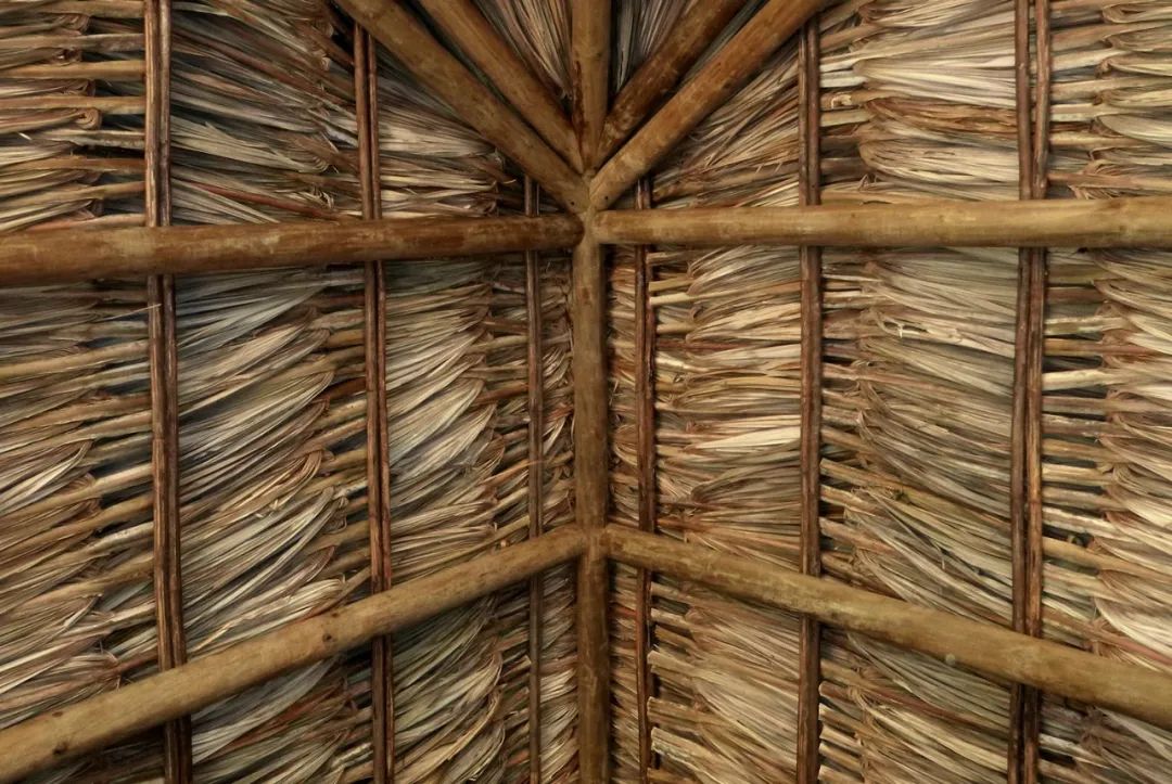 灵活应对气候变化的哥伦比亚住宅设计-21