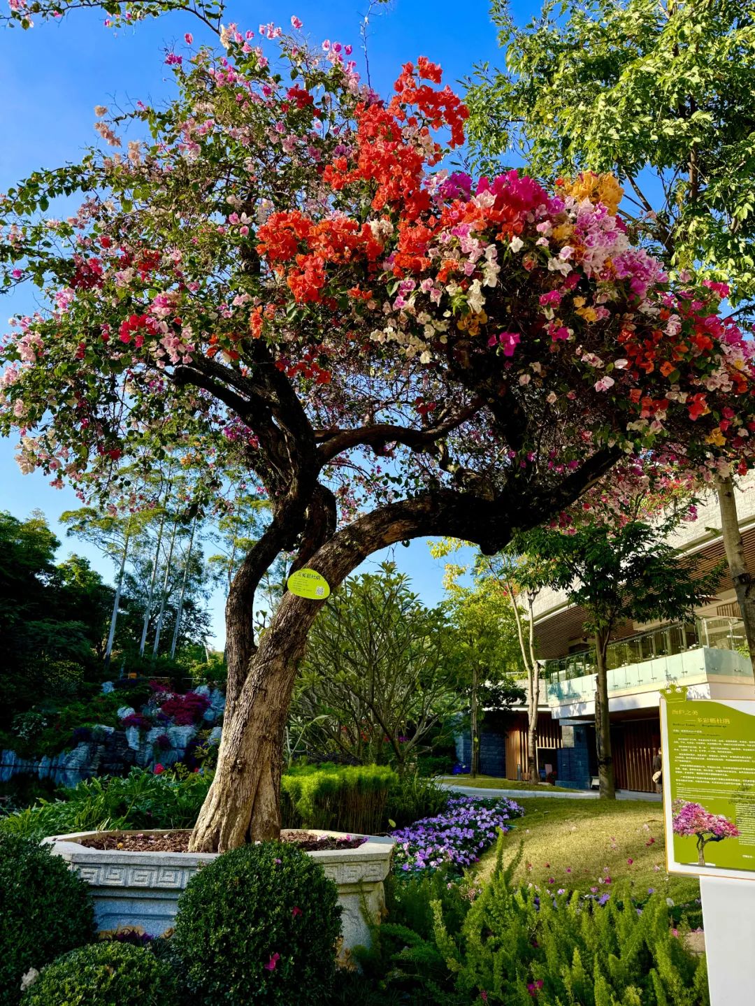 广州云萝植物园丨中国广州丨广州普邦园林股份有限公司-4