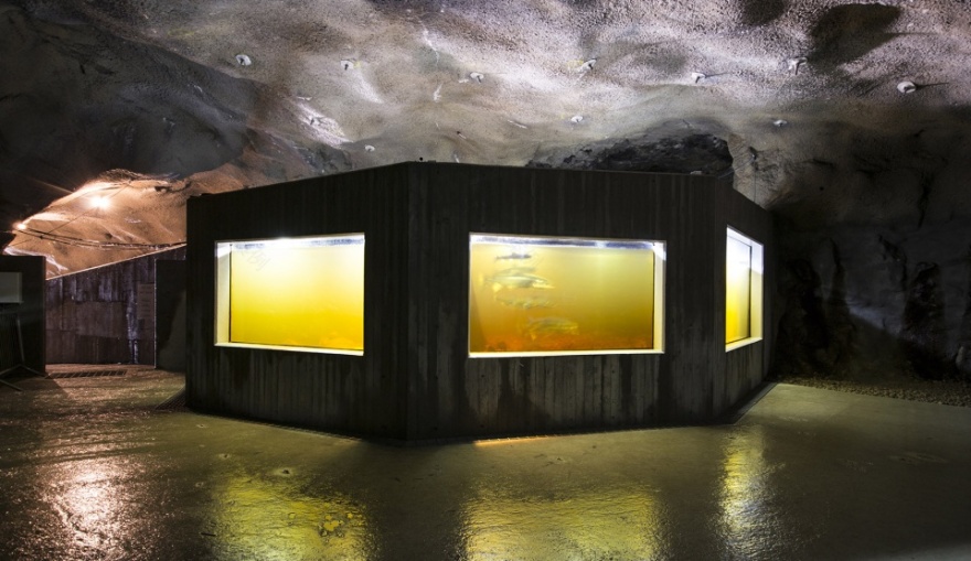 挪威 Kvåsfossen 游客中心 | 悬崖边的现代传统交融-50