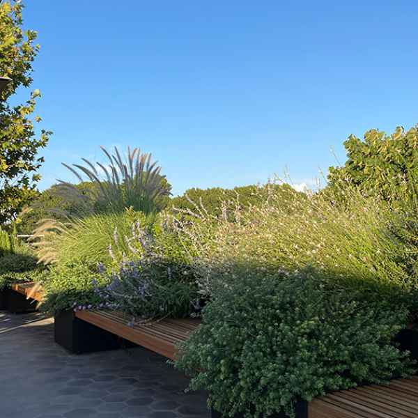 Brunello Cucinelli罗马总部屋顶花园丨意大利罗马-33