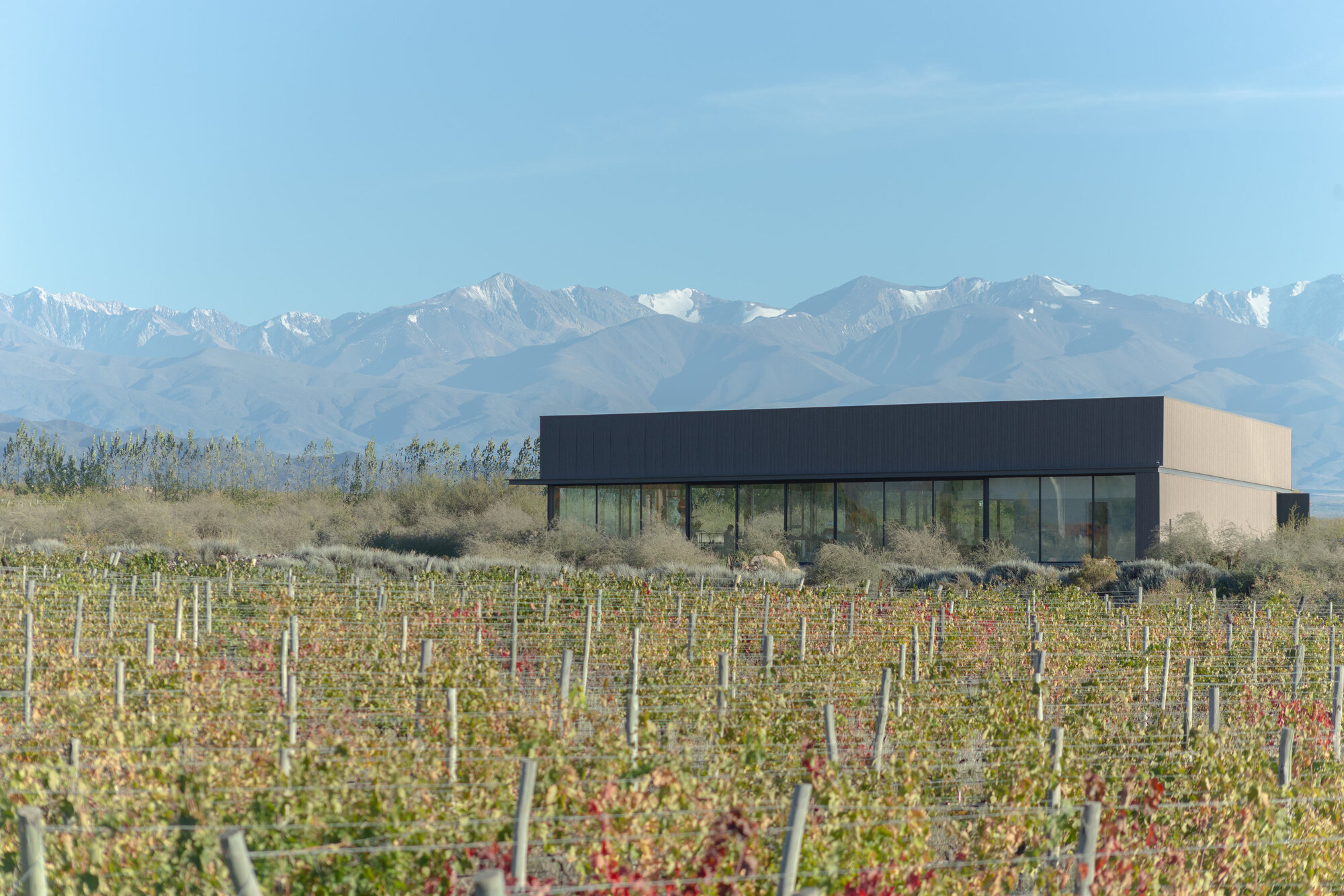 桑托斯烈酒酿酒厂丨阿根廷丨Valeria Moreno-36