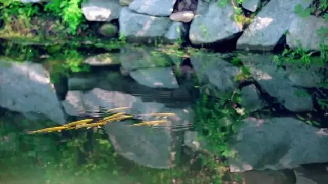 四个老男孩租下2500亩山谷，用集装箱搭出梦想中的家！-176