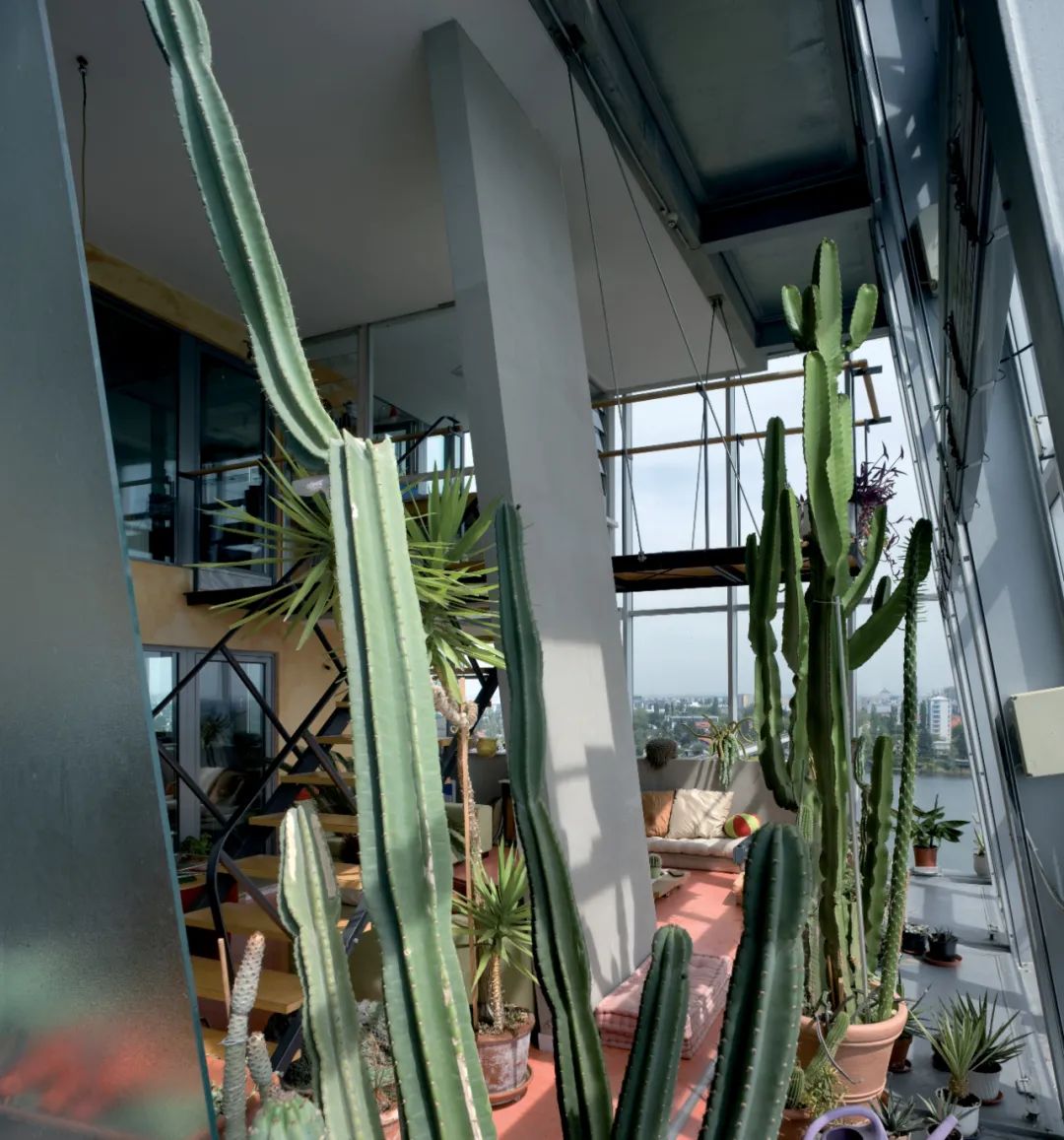 维也纳 SEG 公寓丨奥地利维也纳丨蓝天组建筑事务所-16