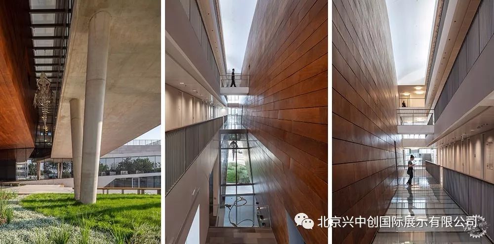 奇特的外立面中暗藏展品，这座博物馆处处充满惊喜-17