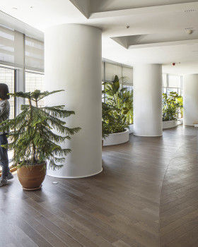 Kanyon Office
