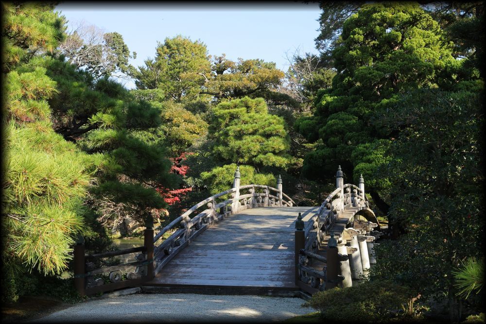 京都御所（京都皇宫）丨日本京都-14
