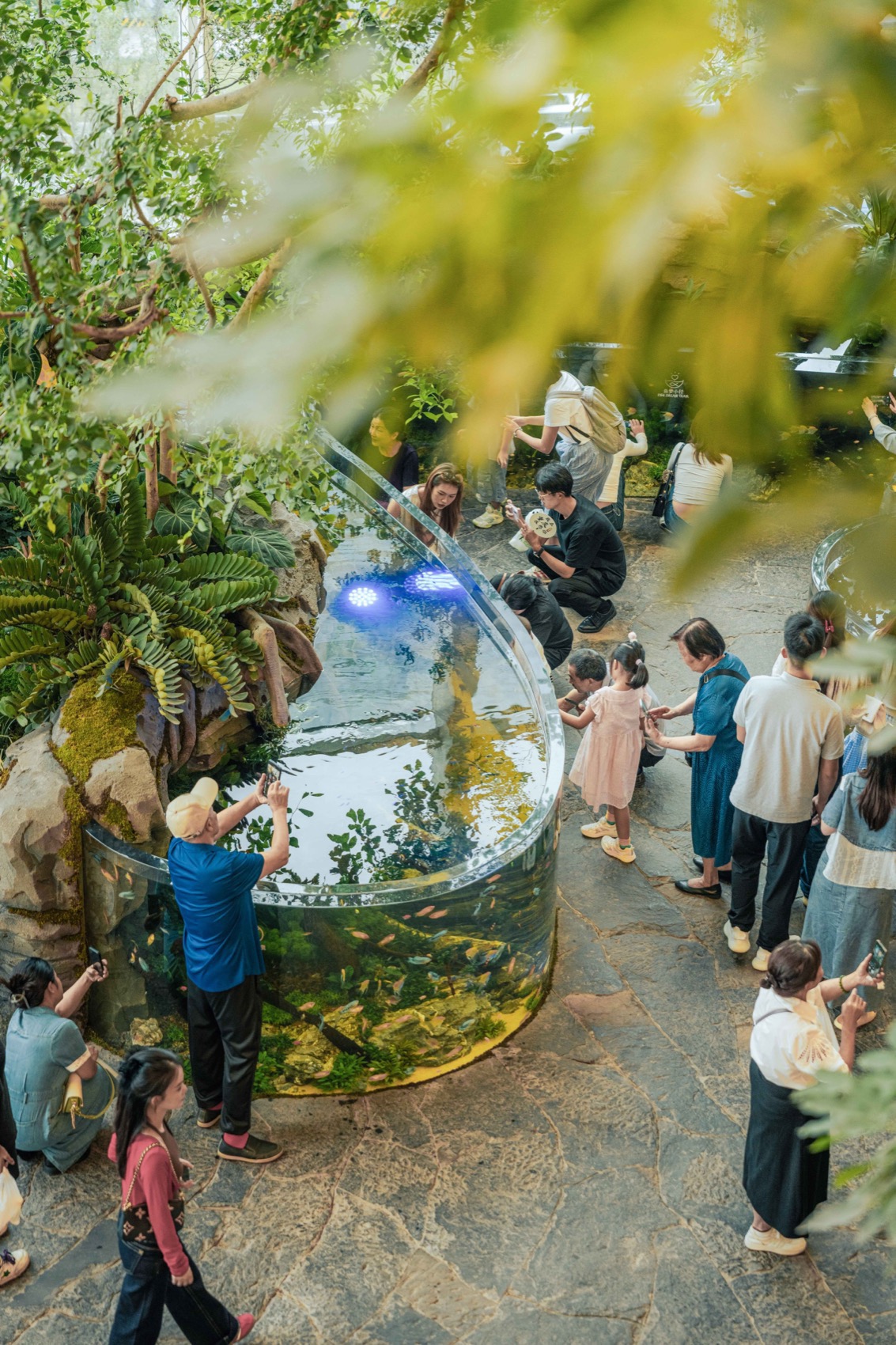 重庆光环花园城 · 世界树丨中国重庆丨WTD纬图设计,喜随设计等多家团队-53