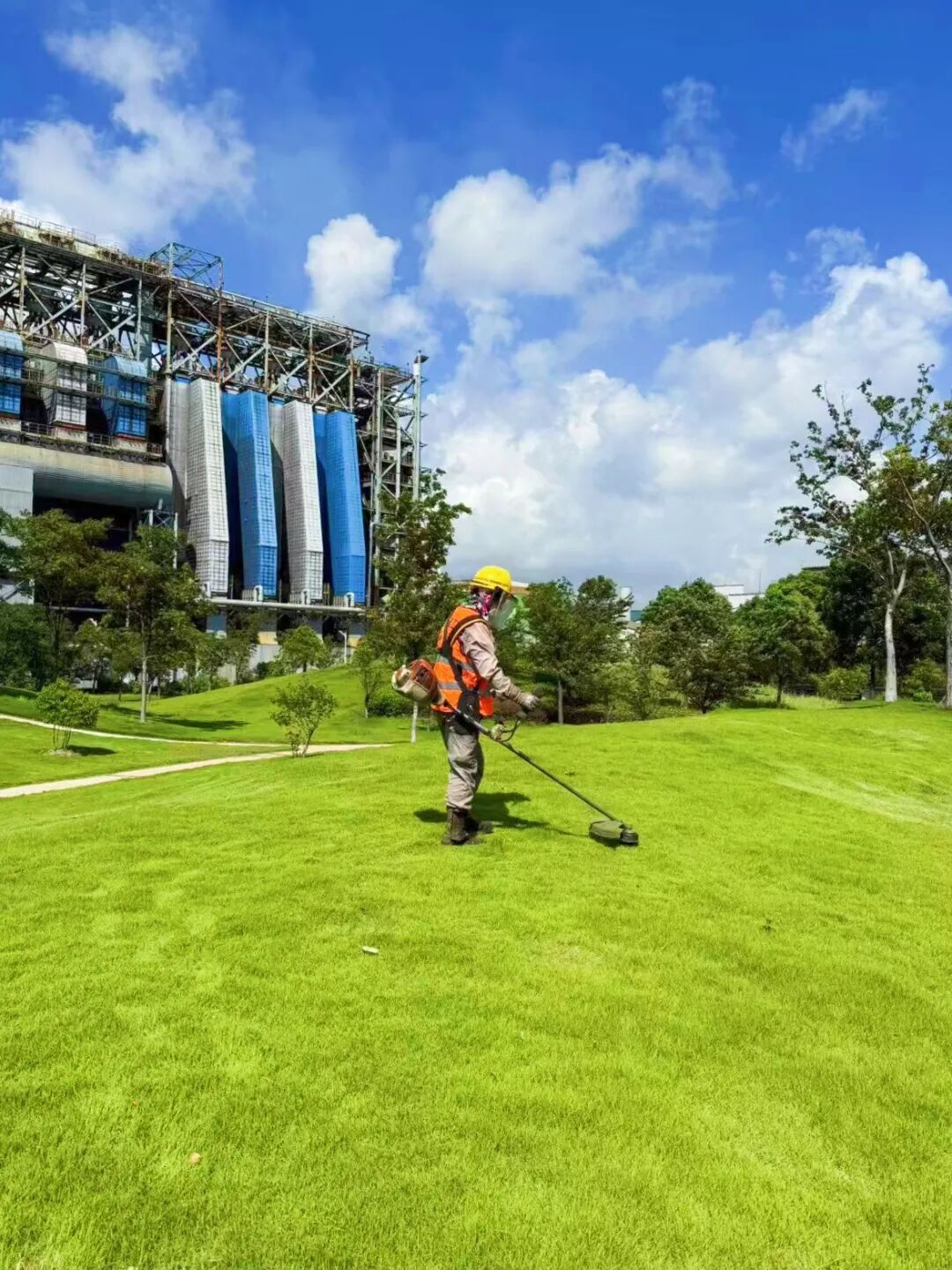 绿化养护｜“智”护钢铁绿洲：宝钢宝山基地的绿色呼吸由我们来守护-154