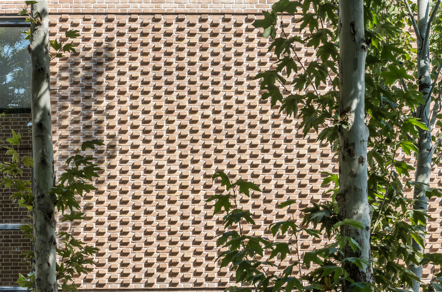 伊朗纳坦兹郊区简约别墅设计-34