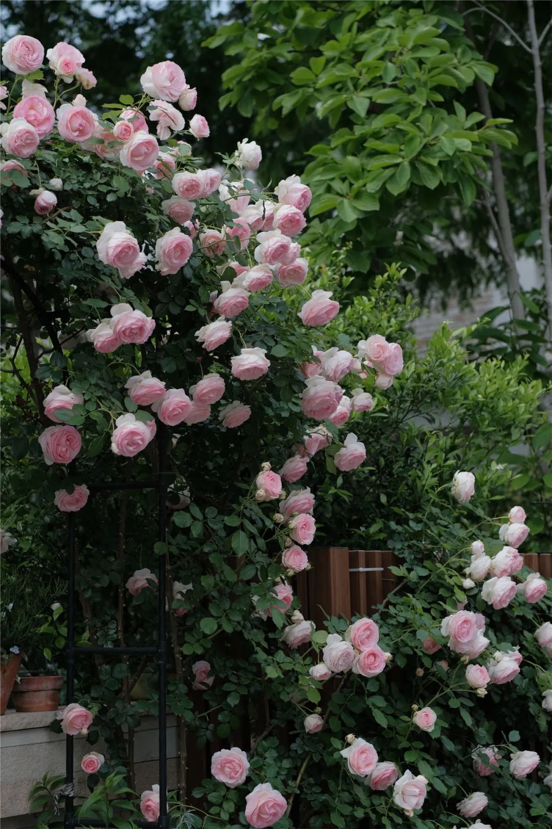 一米花园丨中国上海丨专业设计团队-40