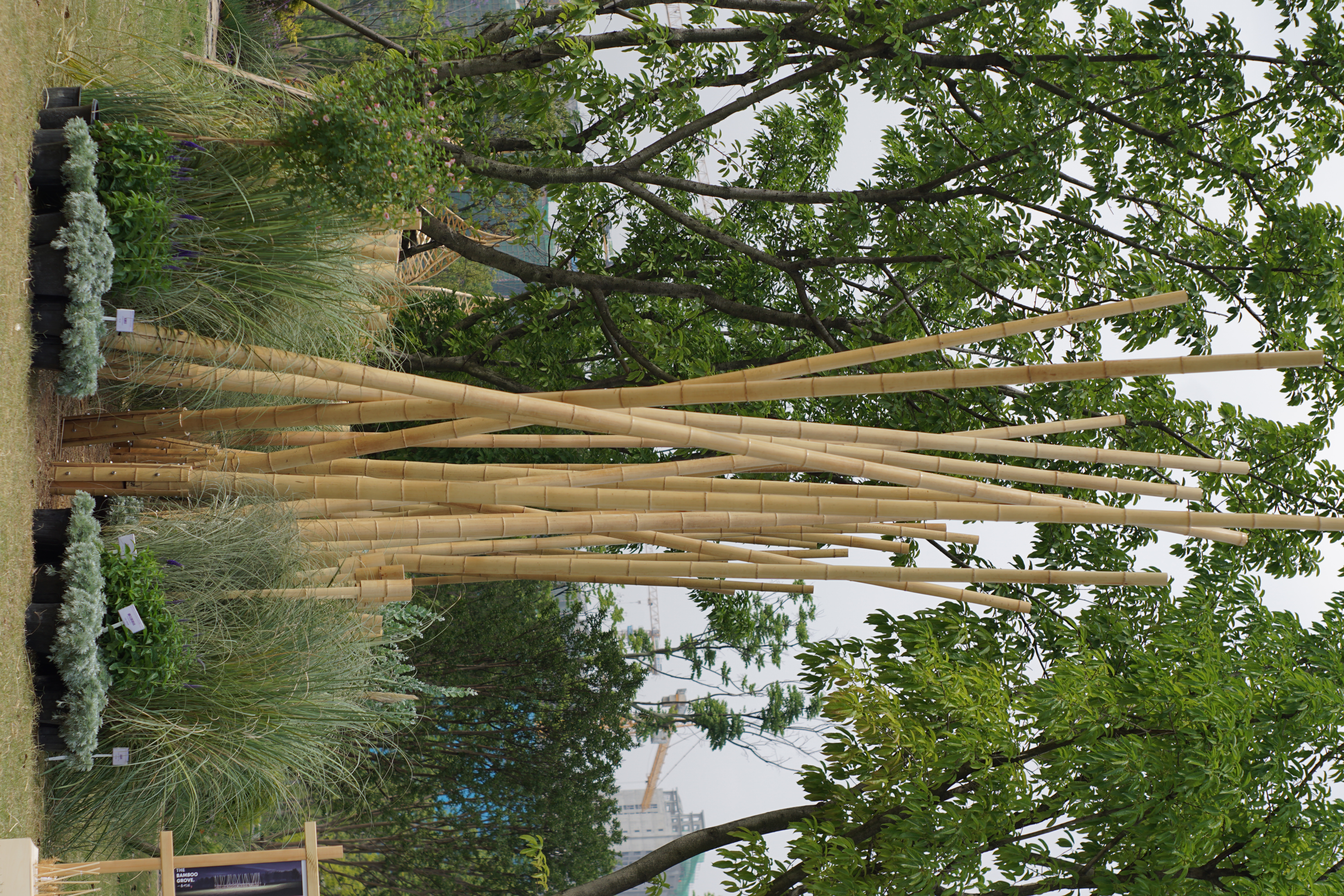 竹林丨中国成都丨Atelier Folie（北林风景建筑研究中心）-35