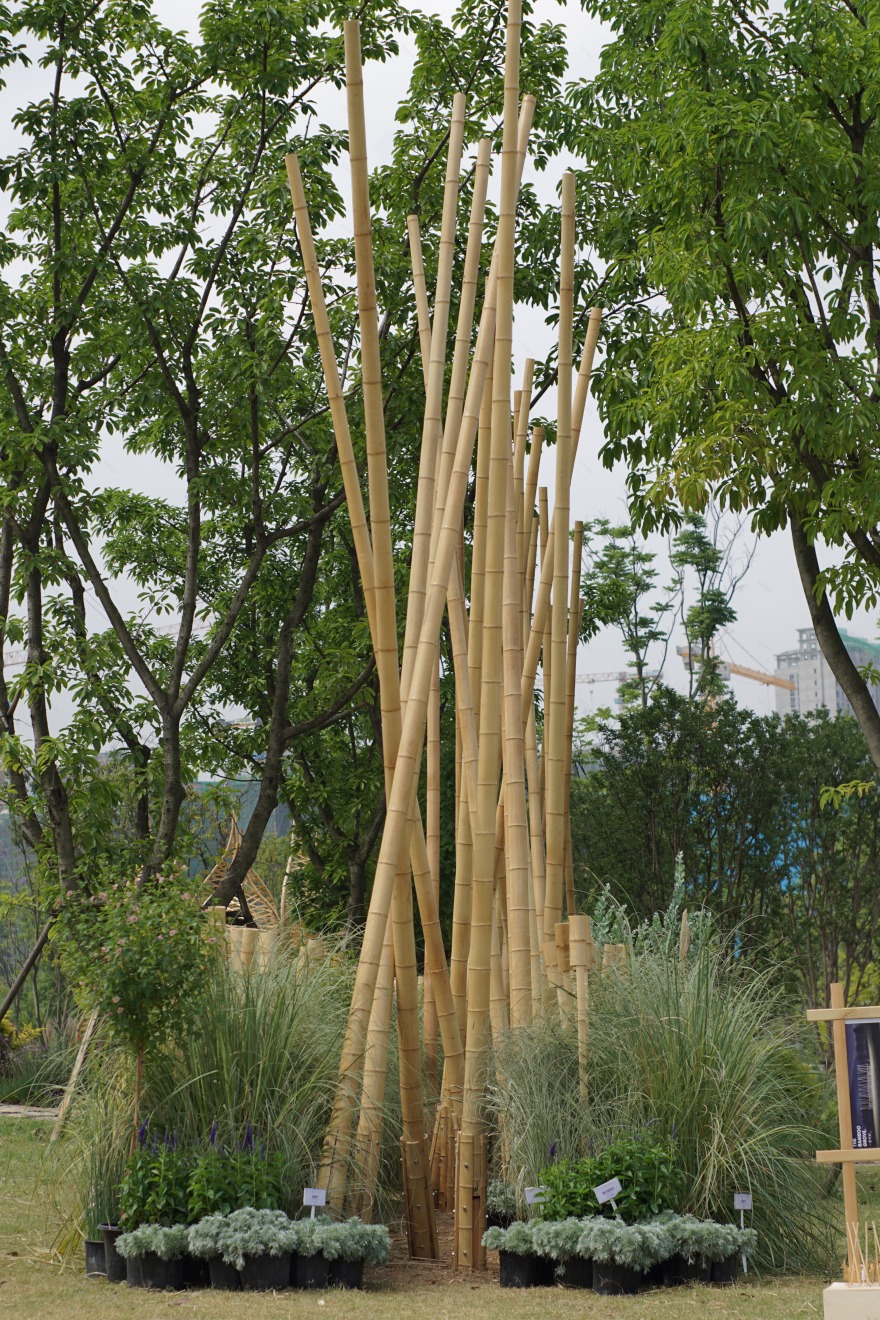 竹林丨中国成都丨Atelier Folie(北林风景建筑研究中心)-35