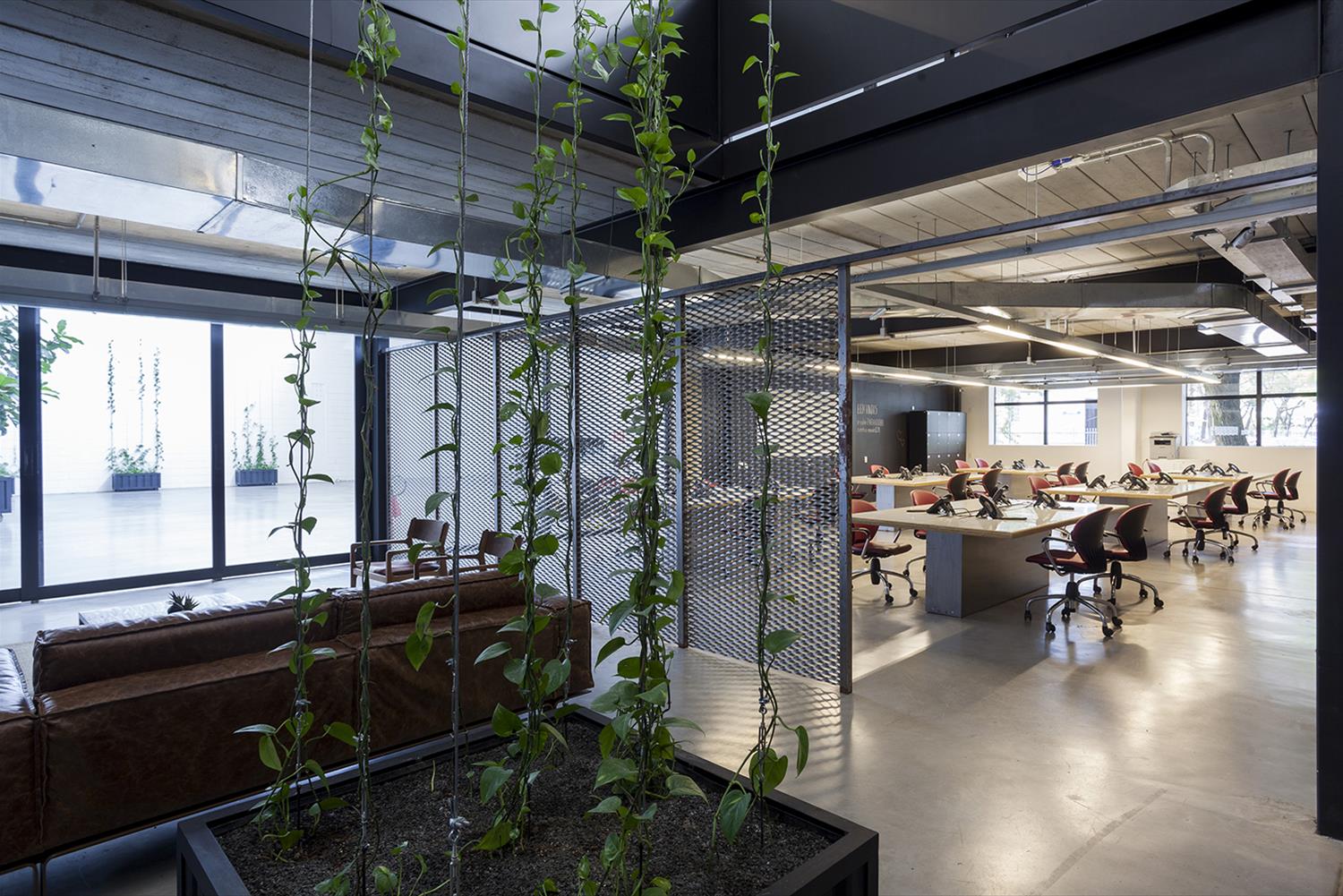 巴西 Paranoid 广告公司办公室-3