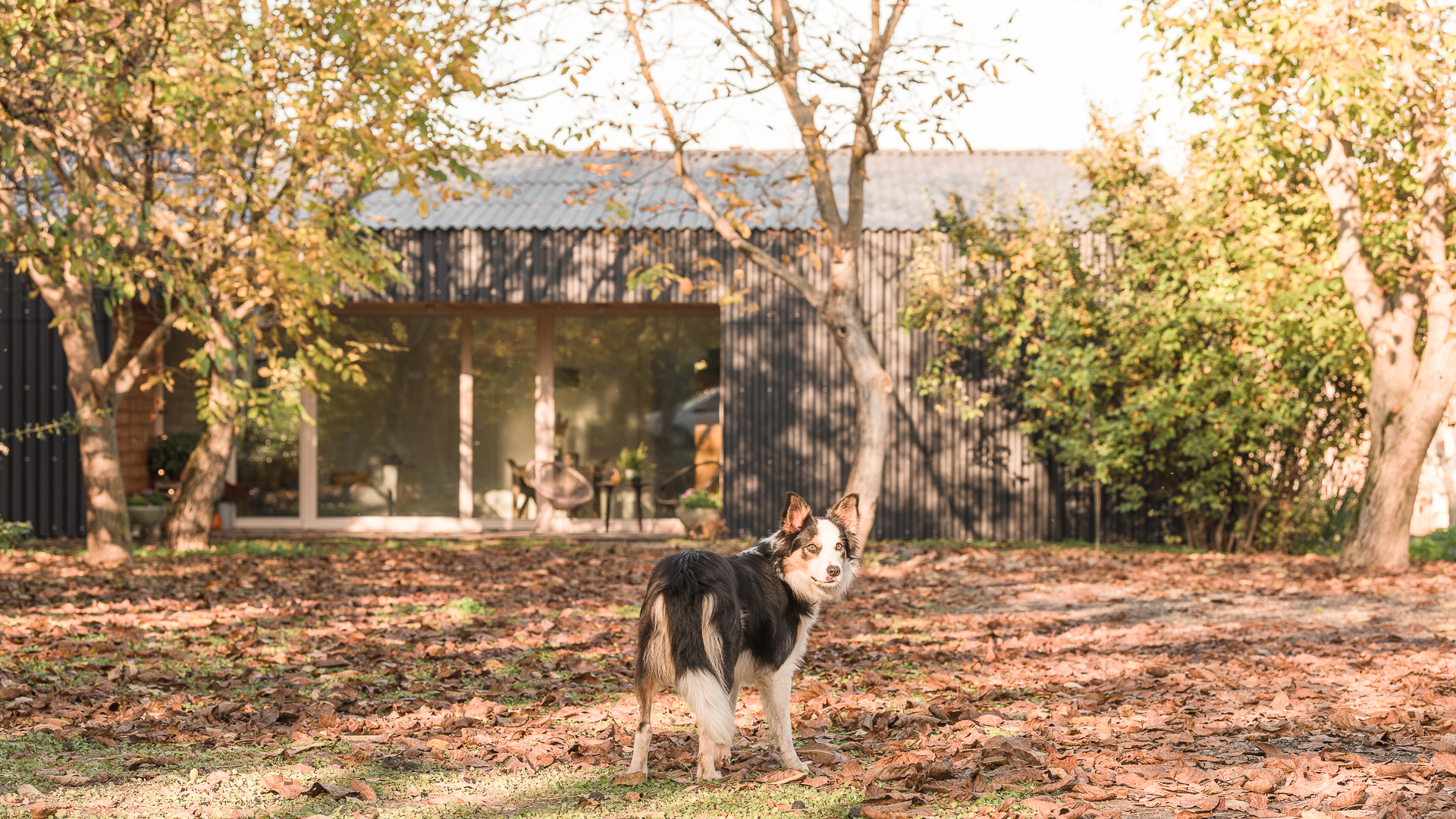 黑瓦屋 · 简约和谐的自建房设计丨匈牙利丨Balogh Csaba 等-38