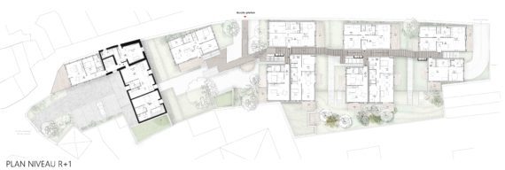 Pierres, Pavés, Bouleaux – 31 logements en bois dans un jardin / Triel-sur-Seine – Virtuel-9